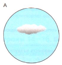 ГДЗ ответы по Географии, 6 класс, учебник Летягина, 2 часть ГДЗ ответы по Географии, 6 класс, учебник Летягина, 2 часть
