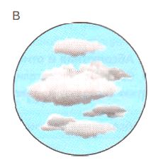 ГДЗ ответы по Географии, 6 класс, учебник Летягина, 2 часть ГДЗ ответы по Географии, 6 класс, учебник Летягина, 2 часть