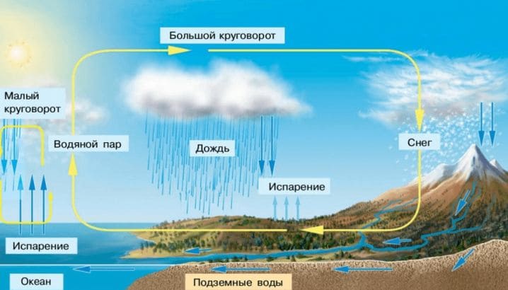 ГДЗ ответы по Географии, 6 класс, учебник Летягина ГДЗ ответы по Географии, 6 класс, учебник Летягина