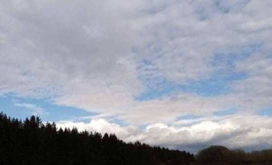 ГДЗ ответы по Географии, 6 класс, учебник Летягина ГДЗ ответы по Географии, 6 класс, учебник Летягина