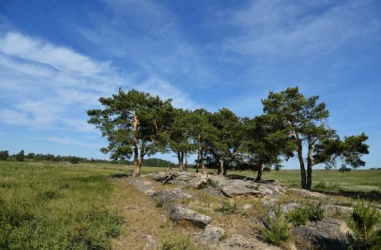 ГДЗ ответы по Географии, 6 класс, учебник Летягина ГДЗ ответы по Географии, 6 класс, учебник Летягина