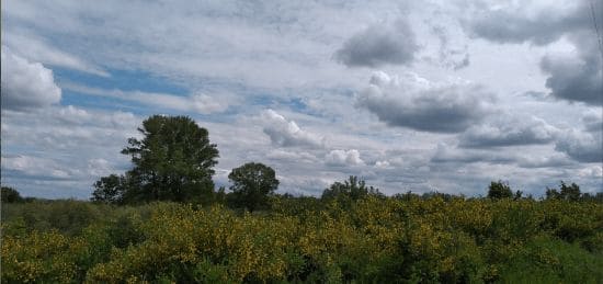 ГДЗ ответы по Географии, 6 класс, учебник Летягина ГДЗ ответы по Географии, 6 класс, учебник Летягина