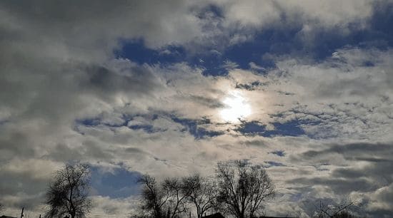 ГДЗ ответы по Географии, 6 класс, учебник Летягина ГДЗ ответы по Географии, 6 класс, учебник Летягина