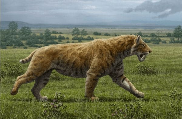 ГДЗ ответы по Географии, 6 класс, учебник Летягина ГДЗ ответы по Географии, 6 класс, учебник Летягина