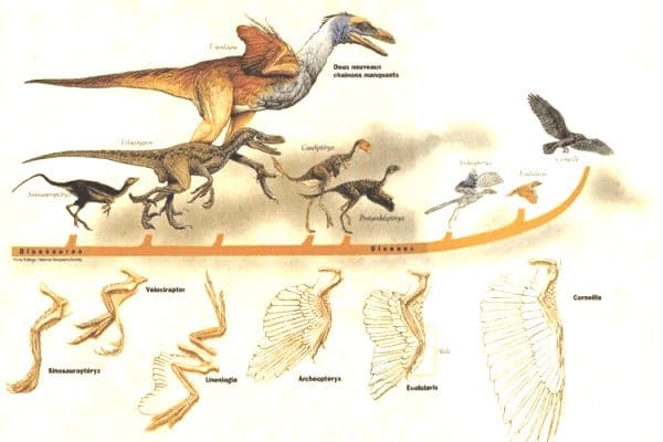 ГДЗ ответы по Географии, 6 класс, учебник Летягина ГДЗ ответы по Географии, 6 класс, учебник Летягина