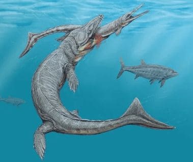 ГДЗ ответы по Географии, 6 класс, учебник Летягина ГДЗ ответы по Географии, 6 класс, учебник Летягина