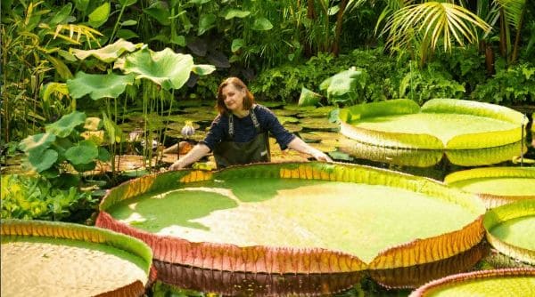 ГДЗ ответы по Географии, 6 класс, учебник Летягина ГДЗ ответы по Географии, 6 класс, учебник Летягина