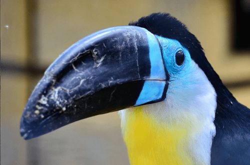 ГДЗ ответы по Географии, 6 класс, учебник Летягина ГДЗ ответы по Географии, 6 класс, учебник Летягина