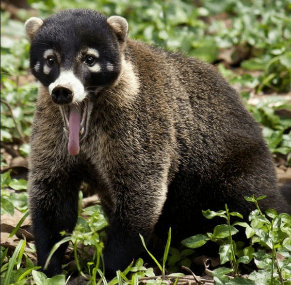 ГДЗ ответы по Географии, 6 класс, учебник Летягина ГДЗ ответы по Географии, 6 класс, учебник Летягина