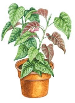 ГДЗ ответы по Географии, 6 класс, учебник Летягина ГДЗ ответы по Географии, 6 класс, учебник Летягина