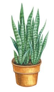 ГДЗ ответы по Географии, 6 класс, учебник Летягина ГДЗ ответы по Географии, 6 класс, учебник Летягина