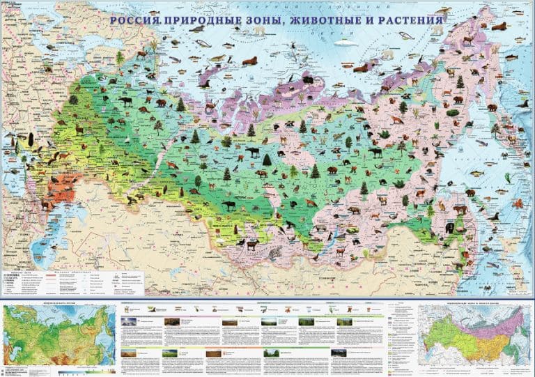 ГДЗ ответы по Географии, 6 класс, учебник Летягина ГДЗ ответы по Географии, 6 класс, учебник Летягина