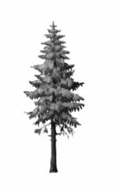 ГДЗ ответы по Географии, 6 класс, учебник Летягина ГДЗ ответы по Географии, 6 класс, учебник Летягина