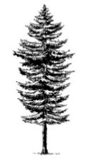 ГДЗ ответы по Географии, 6 класс, учебник Летягина ГДЗ ответы по Географии, 6 класс, учебник Летягина