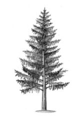 ГДЗ ответы по Географии, 6 класс, учебник Летягина ГДЗ ответы по Географии, 6 класс, учебник Летягина