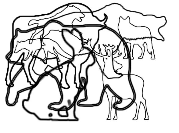 ГДЗ ответы по Географии, 6 класс, учебник Летягина ГДЗ ответы по Географии, 6 класс, учебник Летягина