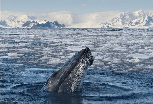 ГДЗ ответы по Географии, 6 класс, учебник Летягина ГДЗ ответы по Географии, 6 класс, учебник Летягина