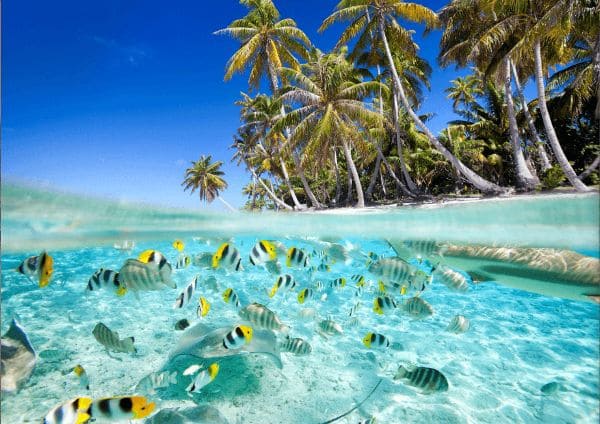 ГДЗ ответы по Географии, 6 класс, учебник Летягина ГДЗ ответы по Географии, 6 класс, учебник Летягина