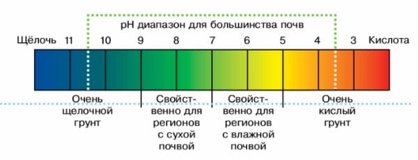 ГДЗ ответы по Географии, 6 класс, учебник Летягина ГДЗ ответы по Географии, 6 класс, учебник Летягина