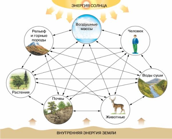 ГДЗ ответы по Географии, 6 класс, учебник Летягина ГДЗ ответы по Географии, 6 класс, учебник Летягина
