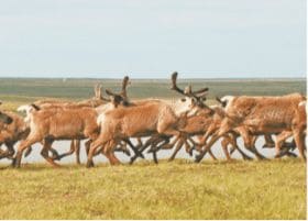 ГДЗ ответы по Географии, 6 класс, учебник Летягина ГДЗ ответы по Географии, 6 класс, учебник Летягина