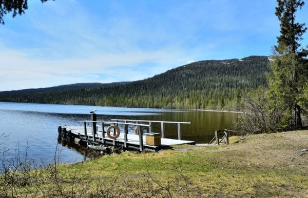 ГДЗ ответы по Географии, 6 класс, учебник Летягина ГДЗ ответы по Географии, 6 класс, учебник Летягина