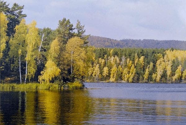 ГДЗ ответы по Географии, 6 класс, учебник Летягина ГДЗ ответы по Географии, 6 класс, учебник Летягина