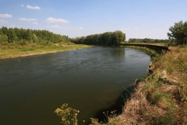 ГДЗ ответы по Географии, 6 класс, учебник Летягина ГДЗ ответы по Географии, 6 класс, учебник Летягина