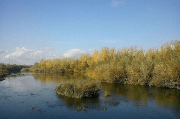 ГДЗ ответы по Географии, 6 класс, учебник Летягина ГДЗ ответы по Географии, 6 класс, учебник Летягина