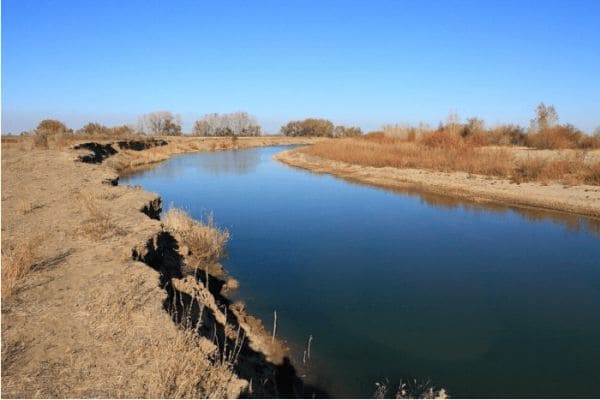 ГДЗ ответы по Географии, 6 класс, учебник Летягина ГДЗ ответы по Географии, 6 класс, учебник Летягина