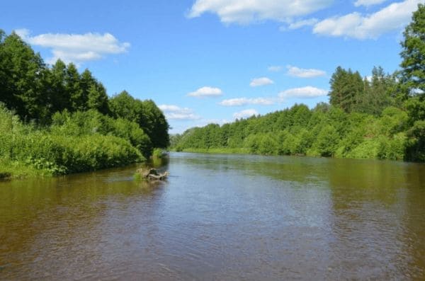 ГДЗ ответы по Географии, 6 класс, учебник Летягина ГДЗ ответы по Географии, 6 класс, учебник Летягина