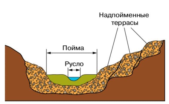 ГДЗ ответы по Географии, 6 класс, учебник Летягина ГДЗ ответы по Географии, 6 класс, учебник Летягина