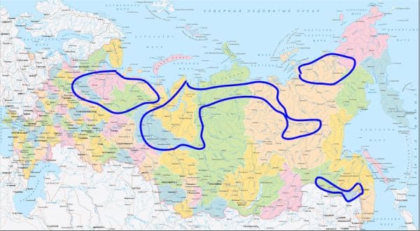 ГДЗ ответы по Географии, 6 класс, учебник Летягина ГДЗ ответы по Географии, 6 класс, учебник Летягина