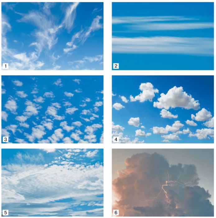 ГДЗ ответы по Географии, 6 класс, учебник Летягина ГДЗ ответы по Географии, 6 класс, учебник Летягина