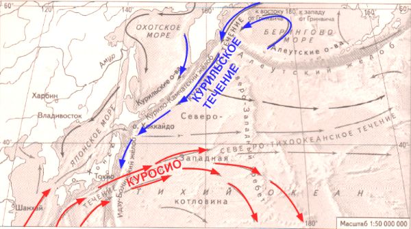 ГДЗ География 7 класс рабочая тетрадь (к учебнику Климановой) Румянцев