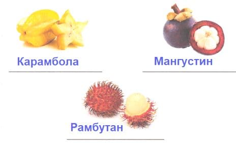 ГДЗ по информатике за 2 класс, рабочая тетрадь, часть 1 (Для всех) Аверкин, Павлов