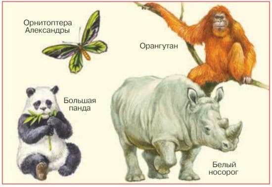 ГДЗ ответы для учебника по окружающему миру 4 класс (часть 1) Плешаков, Школа России 2019