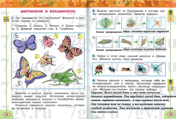 Зеленые страницы бабочки читать. Атлас определитель зеленые страницы насекомые. Атлас определитель книга зеленые страницы про насекомых. Насекомые окружающий мир. Насекомые по окружающему миру 2 класс.