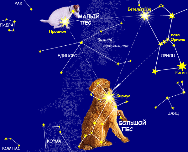 Созвездие Ориона и звезда Сириус